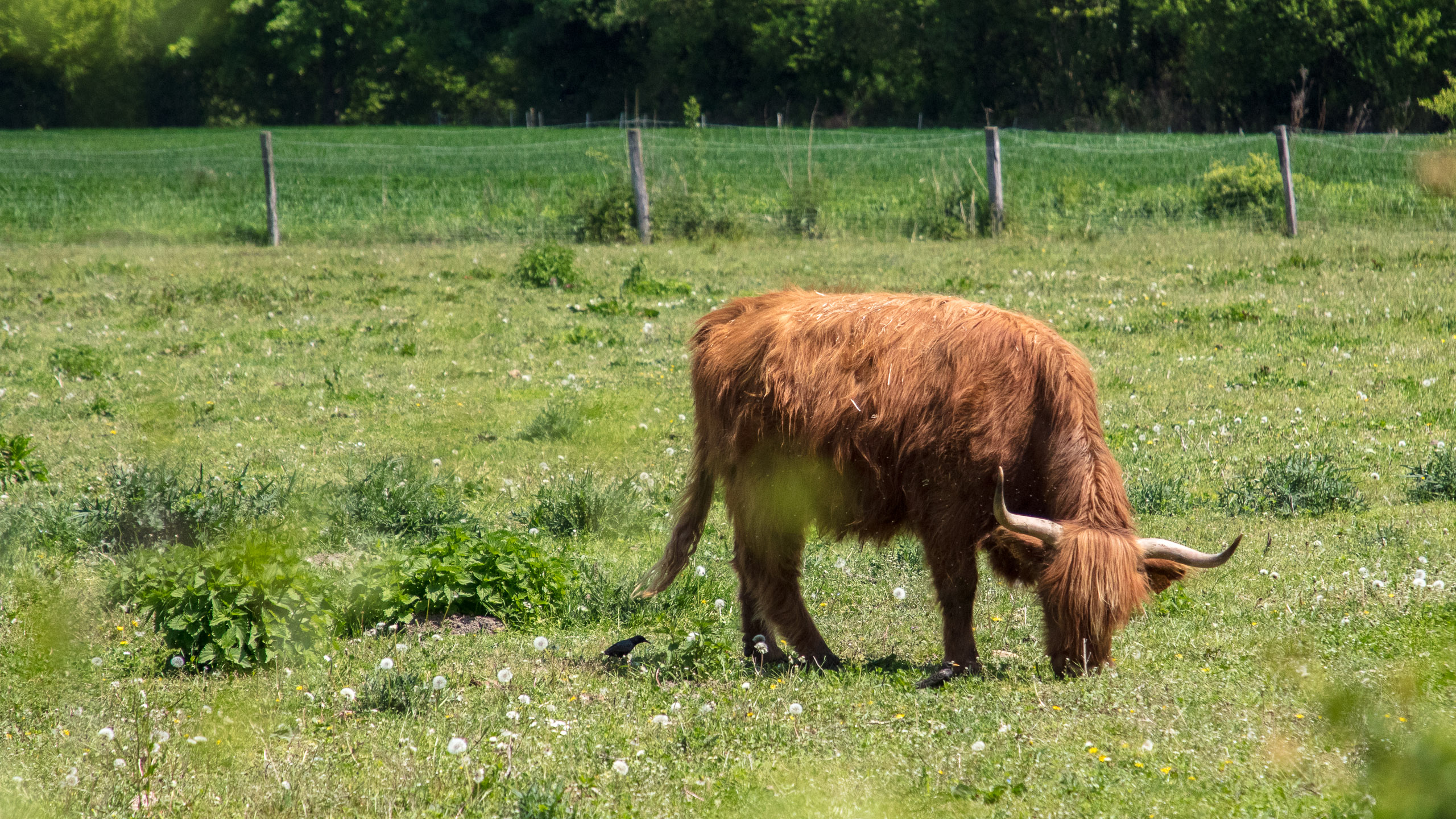 20220508125838 DP017560